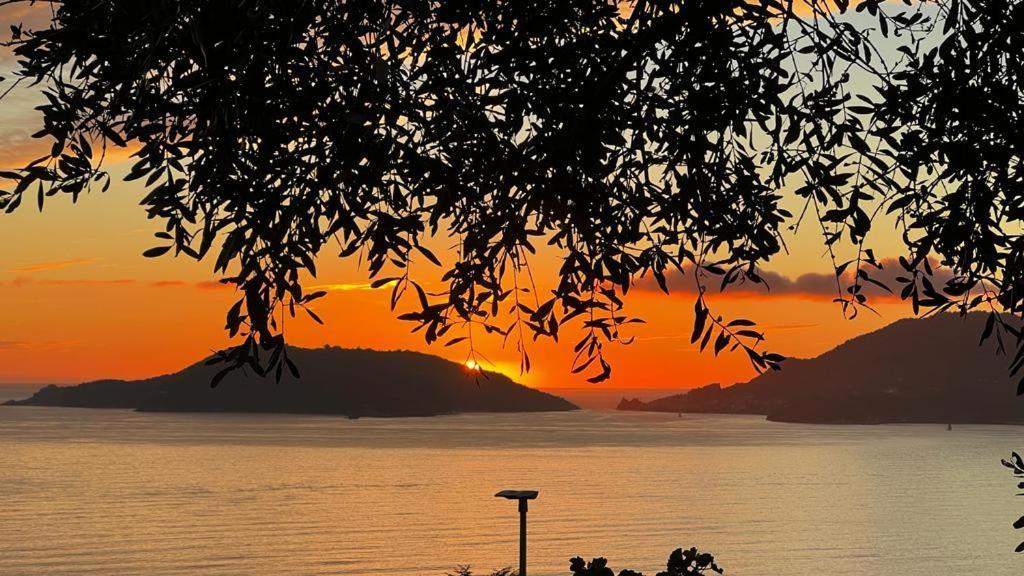 B&B Camera Bellavista Lerici Zewnętrze zdjęcie